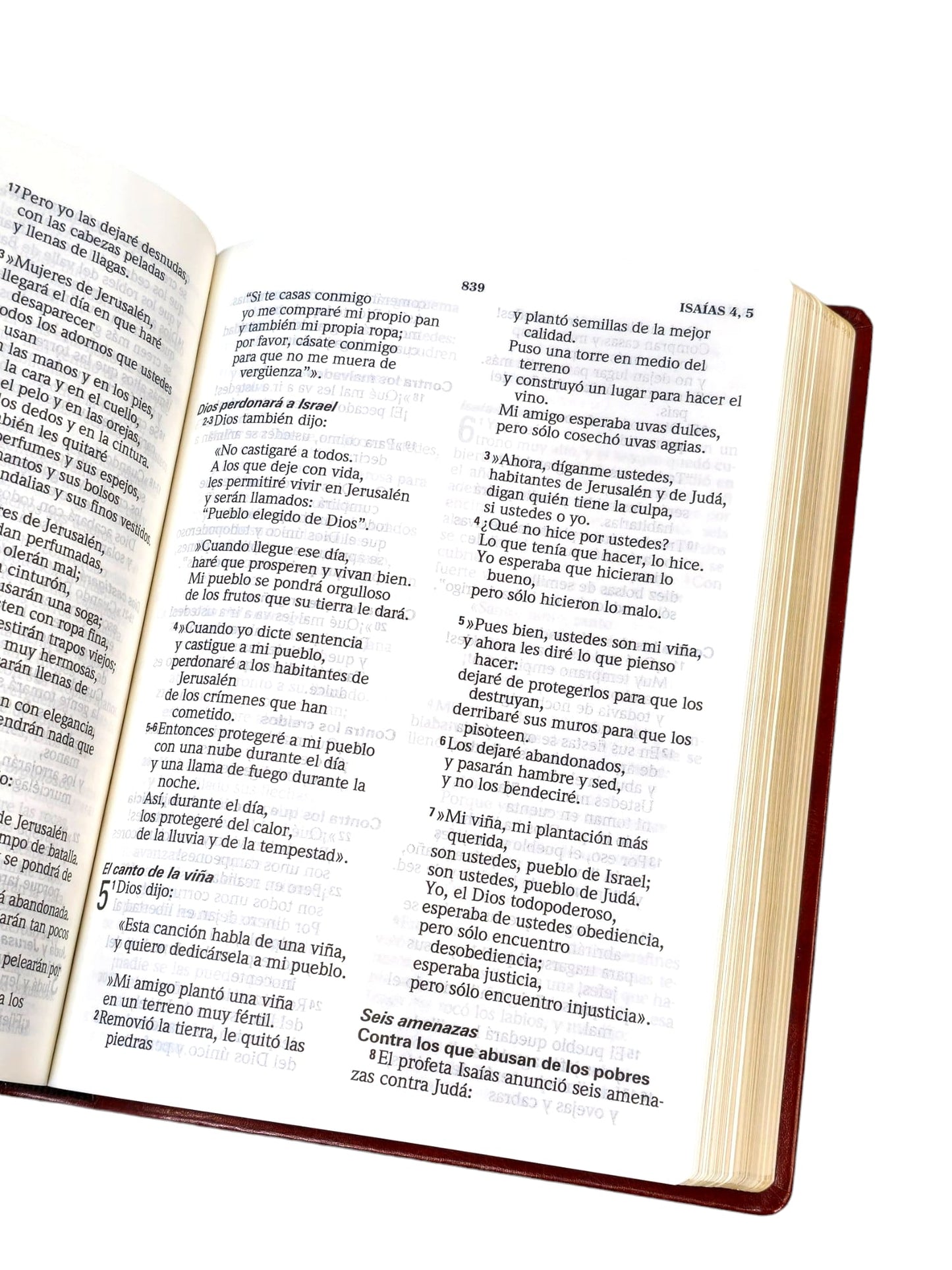 biblia traduccion lenguaje actual TLA Letra Gigante Piel Imitation Café