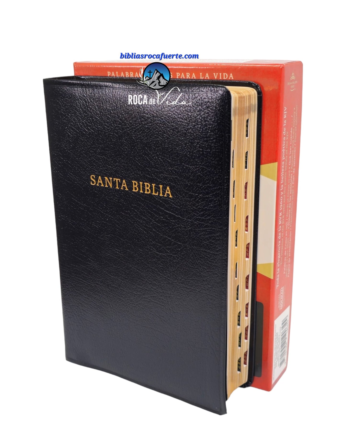 Biblia bilingue RVR 1960/KJV, letra grande 10 puntos piel fabricada negro indice