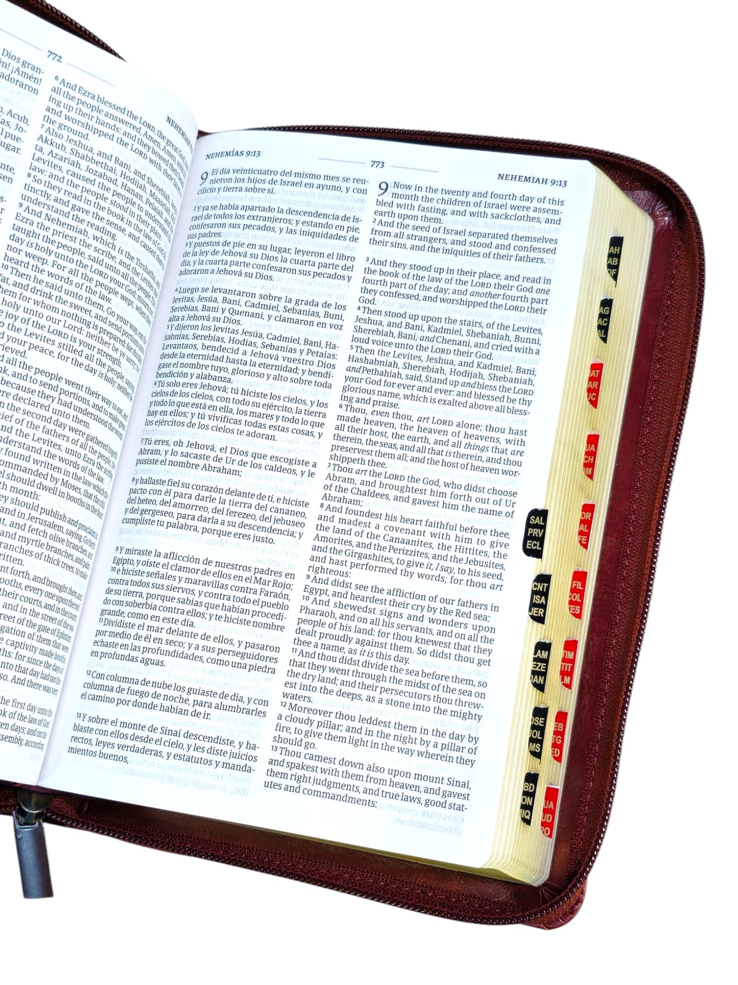 Biblia Bilingue Con Cierre RVR1960/ KJV Tamaño Manual Piel Marrón Con Indice