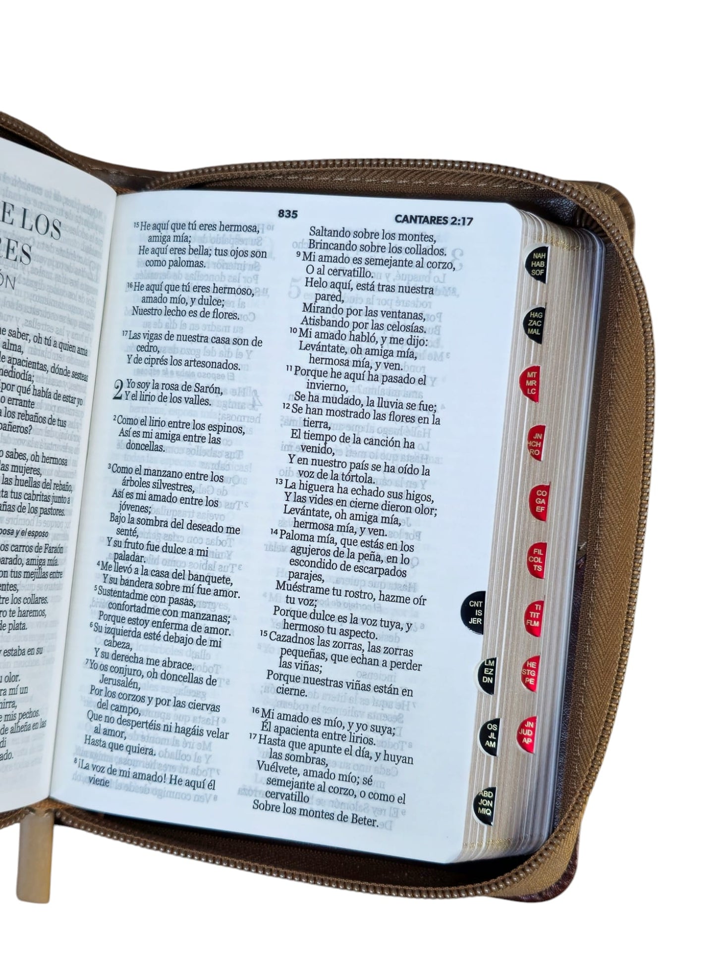 Biblia de Bolsillo con cierre aguila RVR.1960 Imitación piel cafe/ cafe con indice