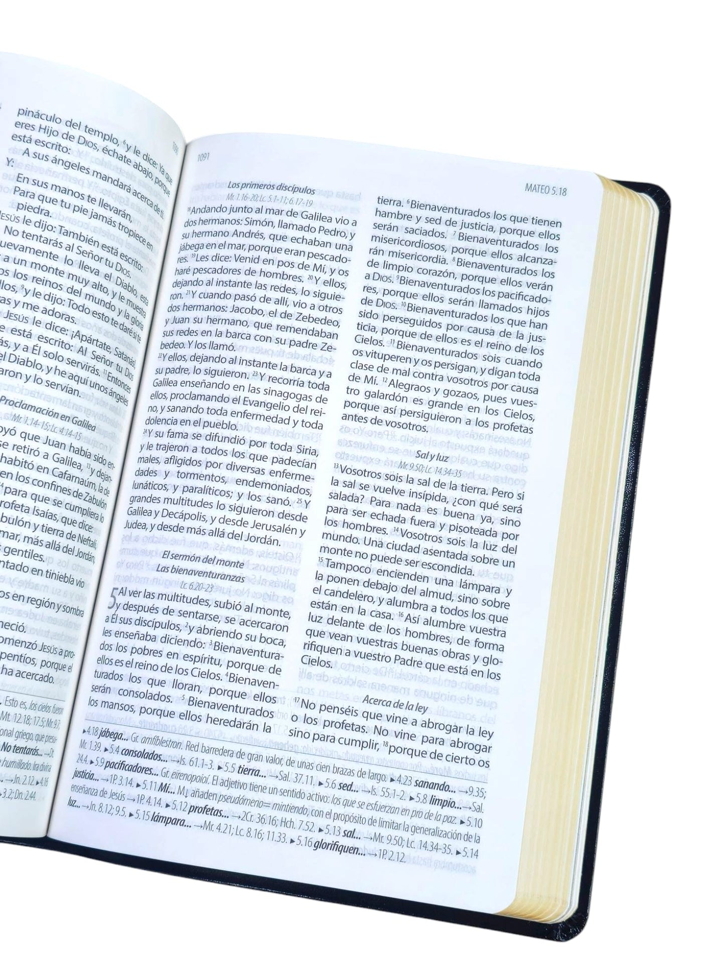 Biblia Textual ( Edición IV ) De REGRESO A la Fuente Semipiel Negro
