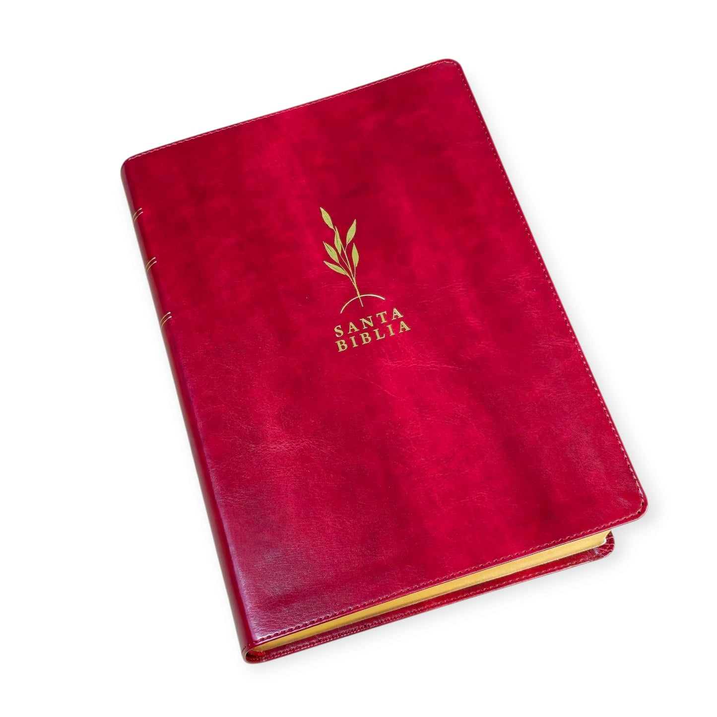 Biblia de estudio del diario vivir RVR.1960 senti piel color vino tinto con indice
