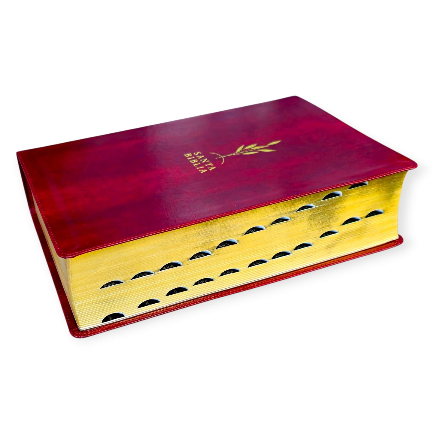 Biblia de estudio del diario vivir RVR.1960 senti piel color vino tinto con indice
