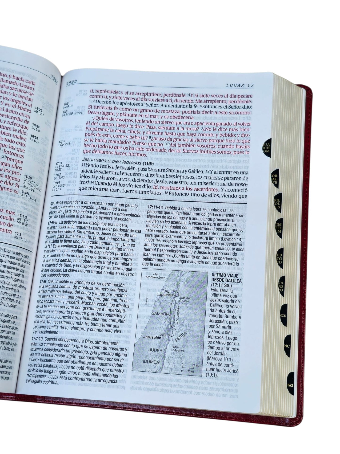 Biblia de estudio del diario vivir RVR.1960 senti piel color vino tinto con indice