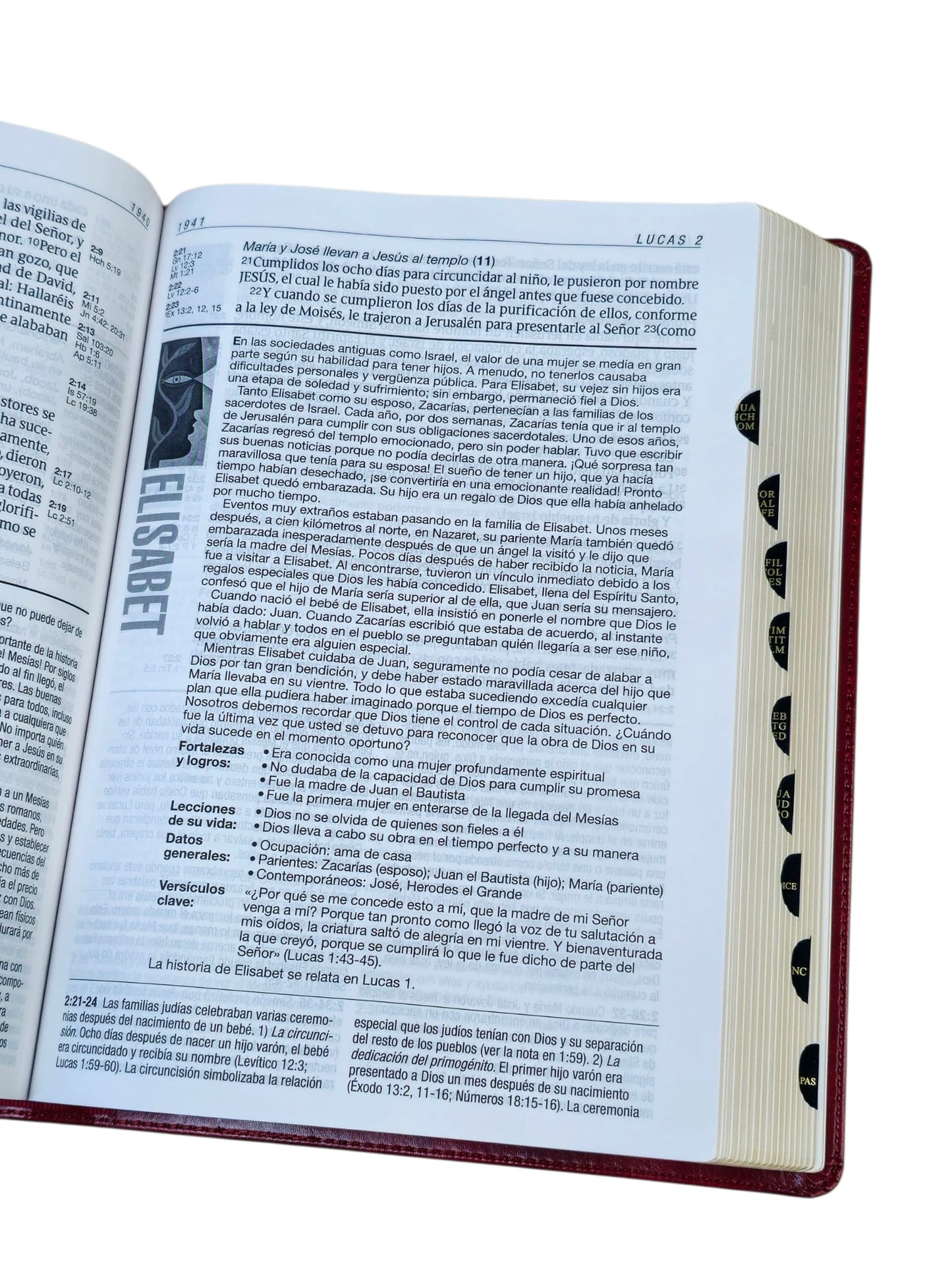 Biblia de estudio del diario vivir RVR.1960 senti piel color vino tinto con indice