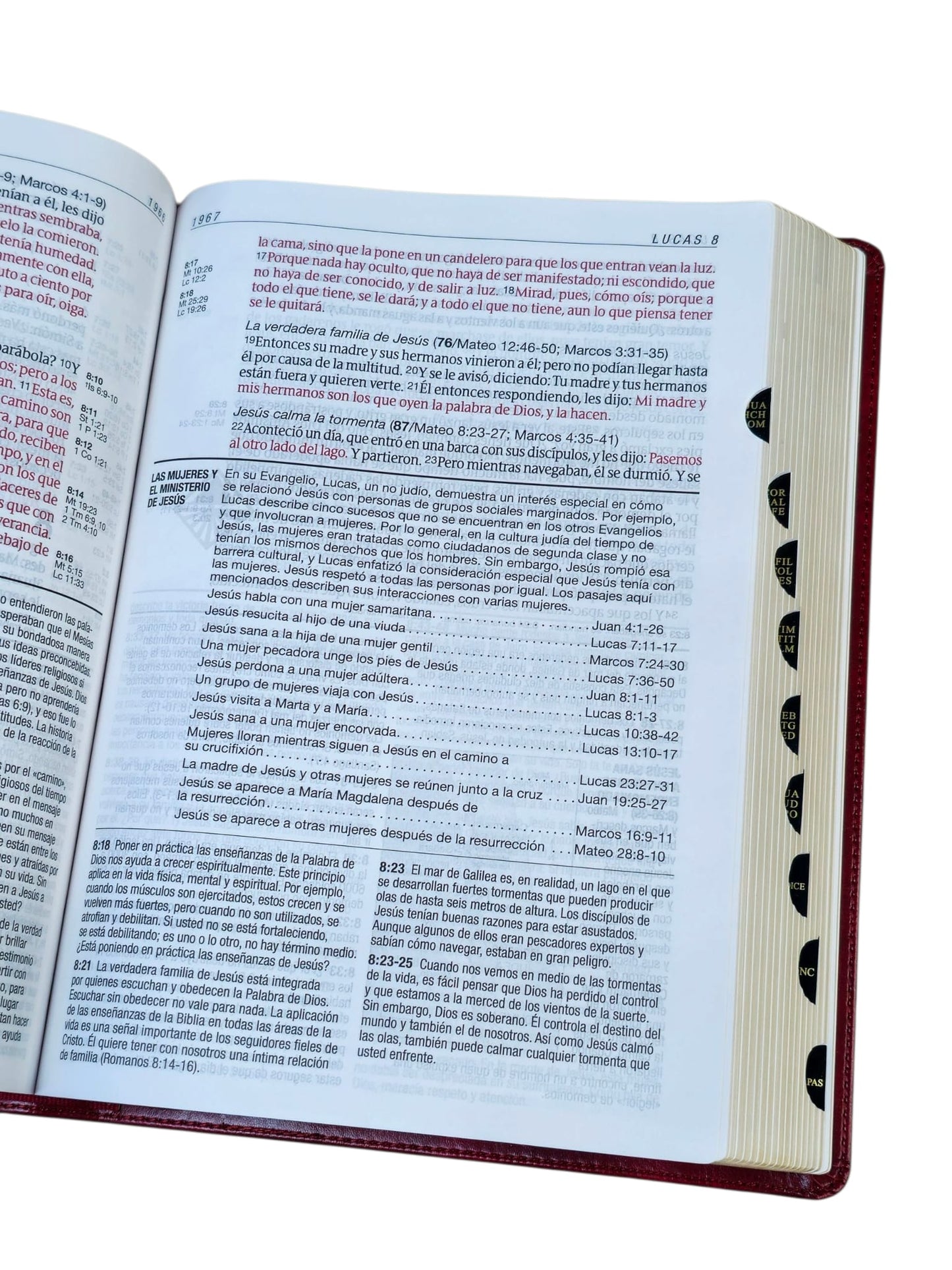 Biblia de estudio del diario vivir RVR.1960 senti piel color vino tinto con indice