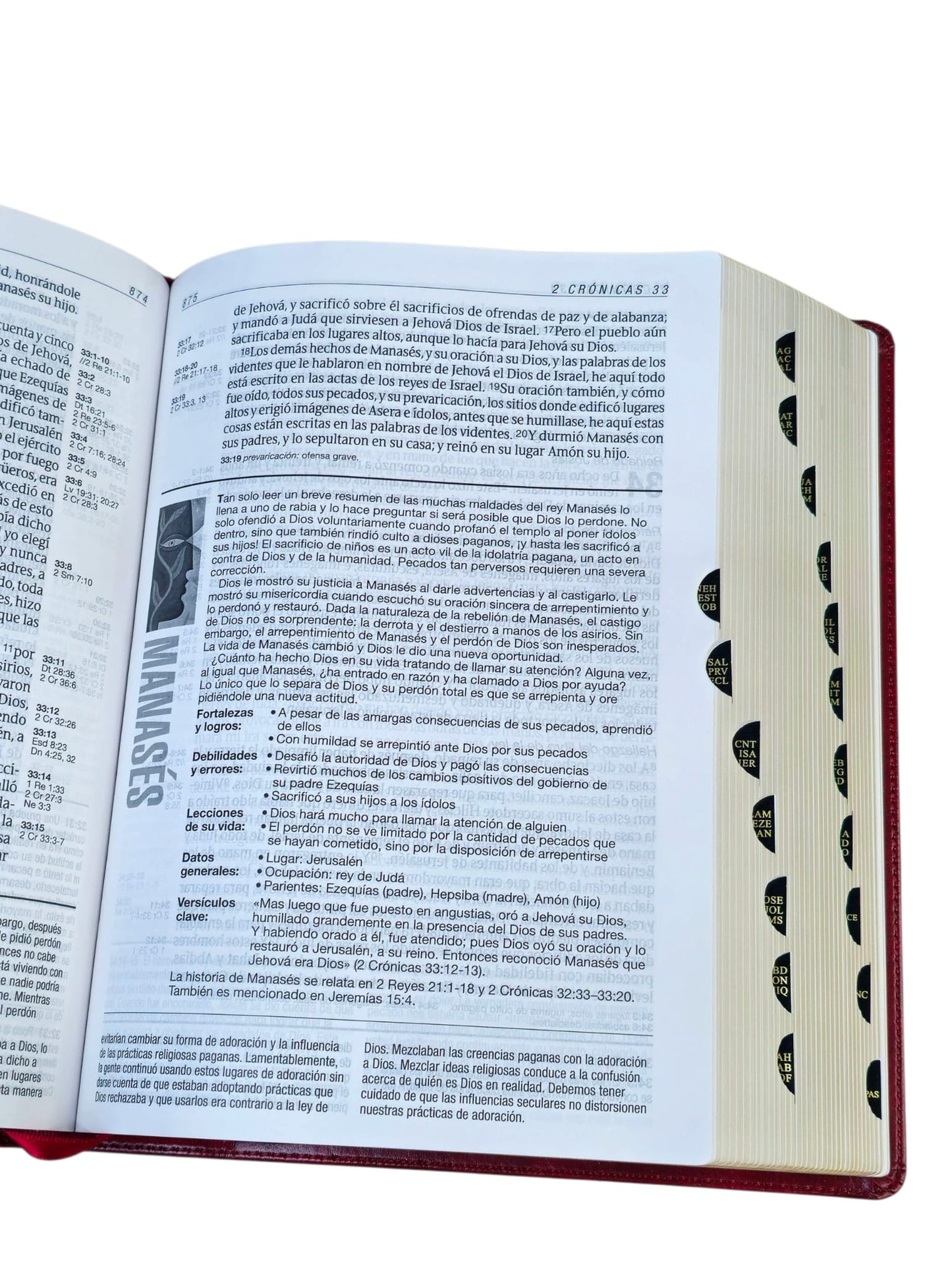 Biblia de estudio del diario vivir RVR.1960 senti piel color vino tinto con indice