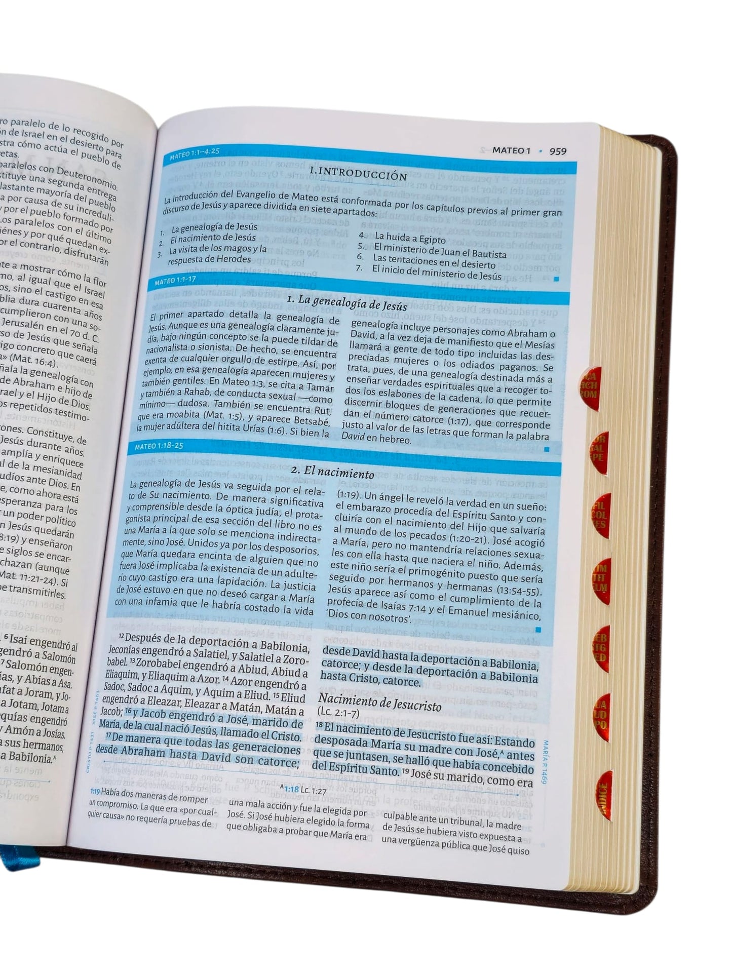 Biblia de estudio César Vidal RVR.1960 piel cafe con indice