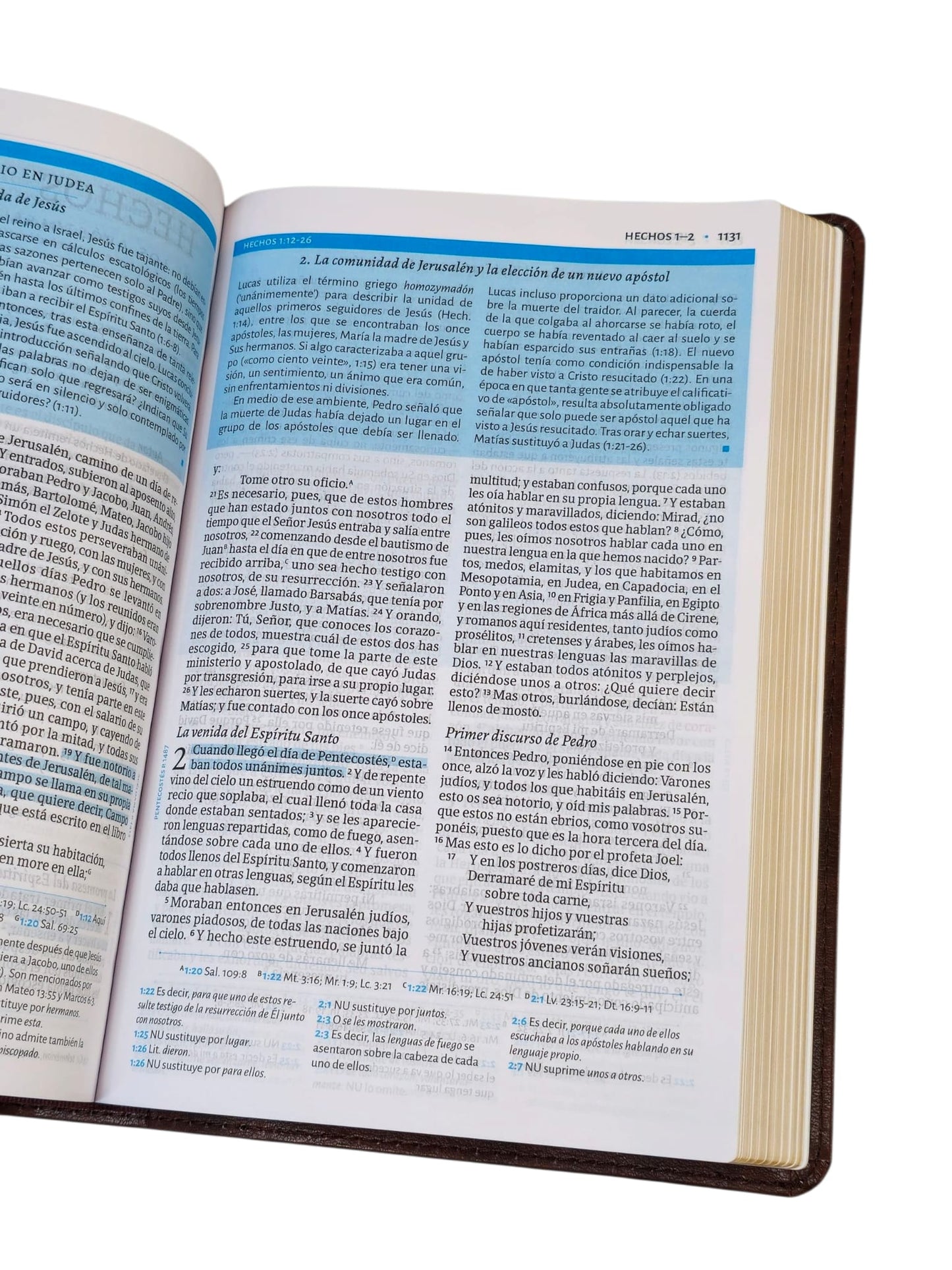 Biblia de estudio cesar Vidal RVR.1960 color cafe