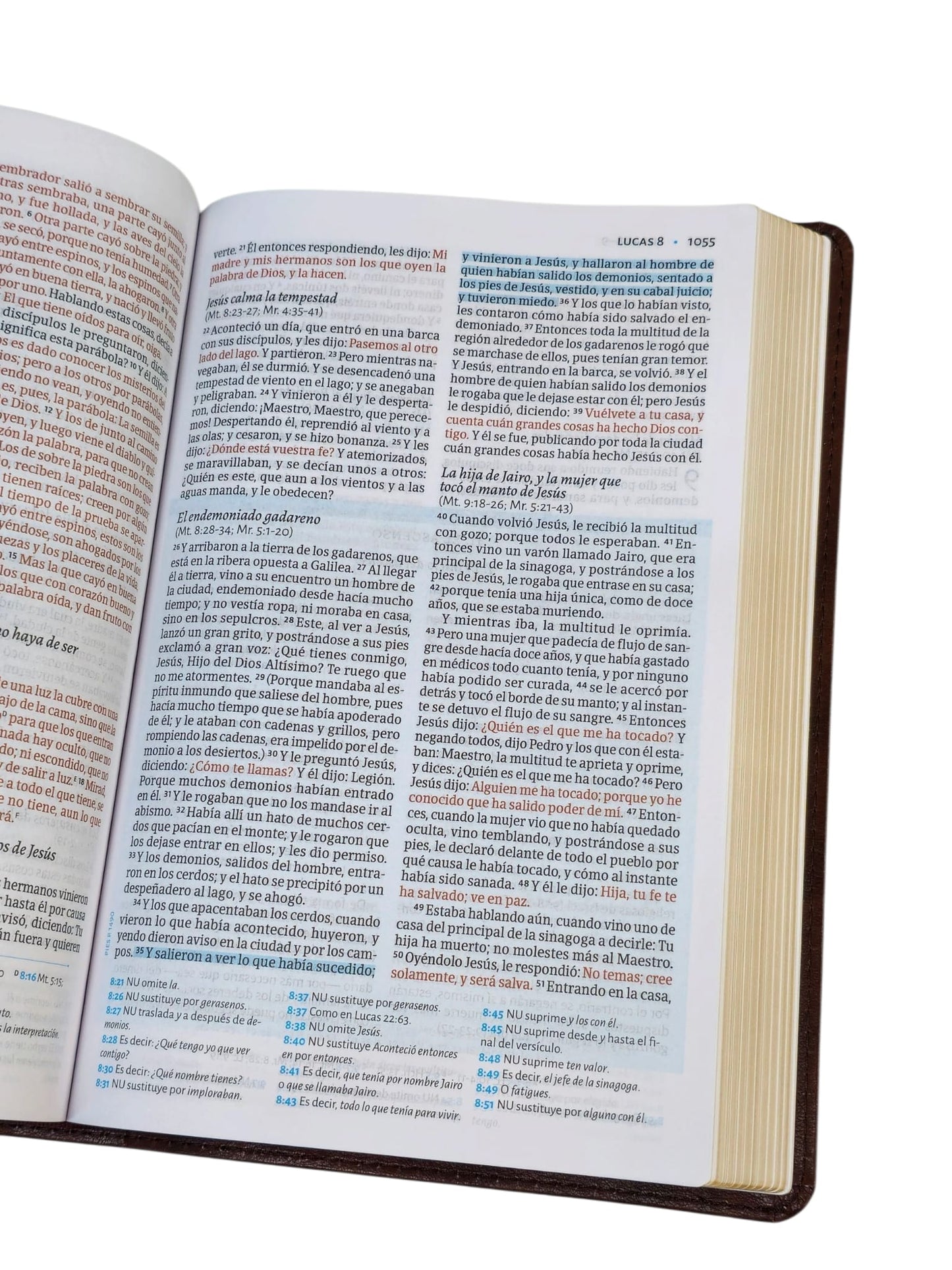 Biblia de estudio cesar Vidal RVR.1960 color cafe
