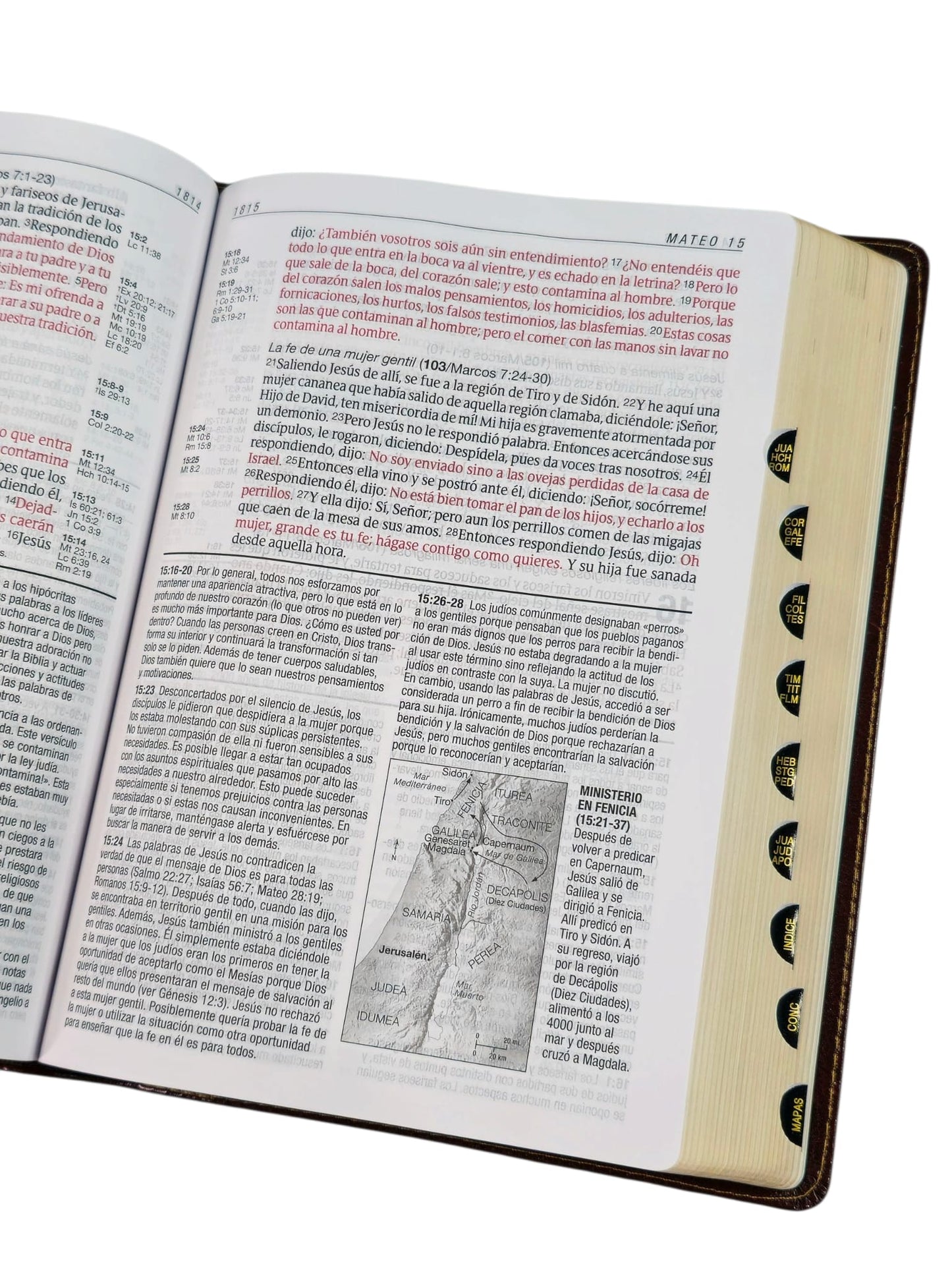 Biblia de Estudio del Diario Vivir Letra Grande RV1960 imit piel cafe con indice