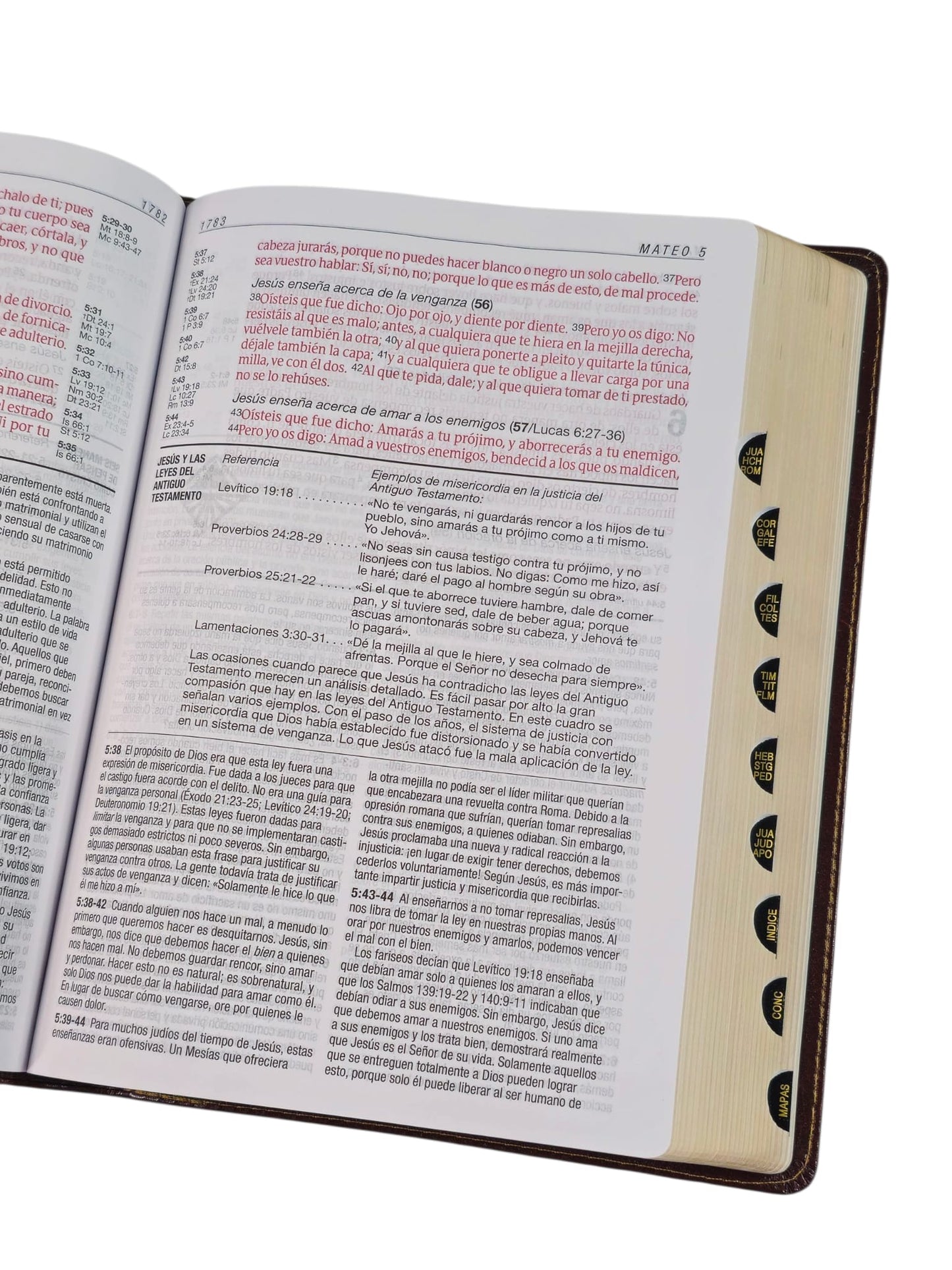 Biblia de Estudio del Diario Vivir Letra Grande RV1960 imit piel cafe con indice