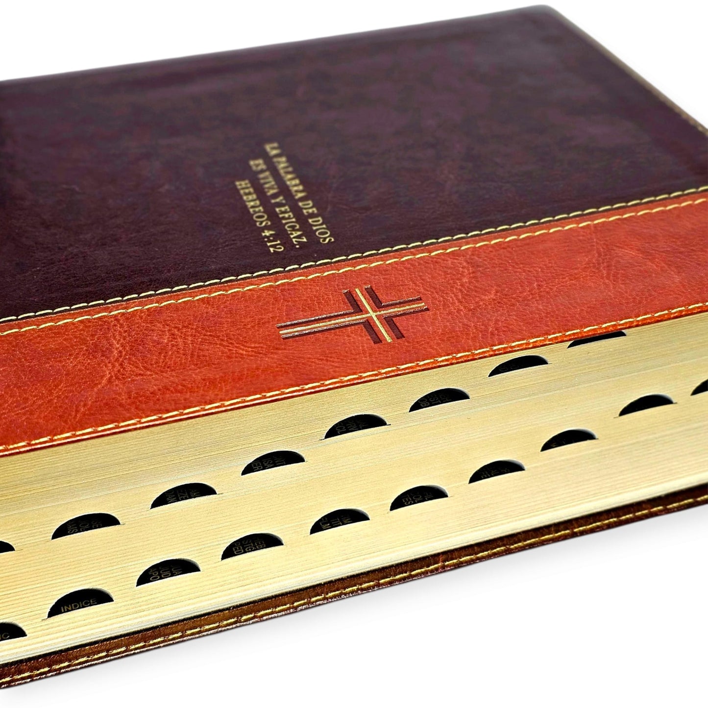 Biblia de Estudio del Diario Vivir Letra Grande RV1960 imit piel cafe con indice