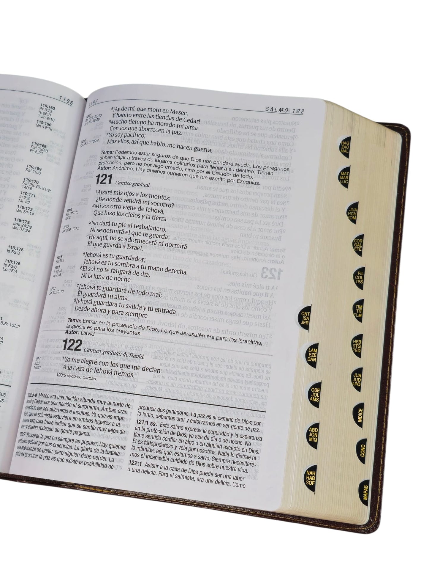 Biblia de Estudio del Diario Vivir Letra Grande RV1960 imit piel cafe con indice