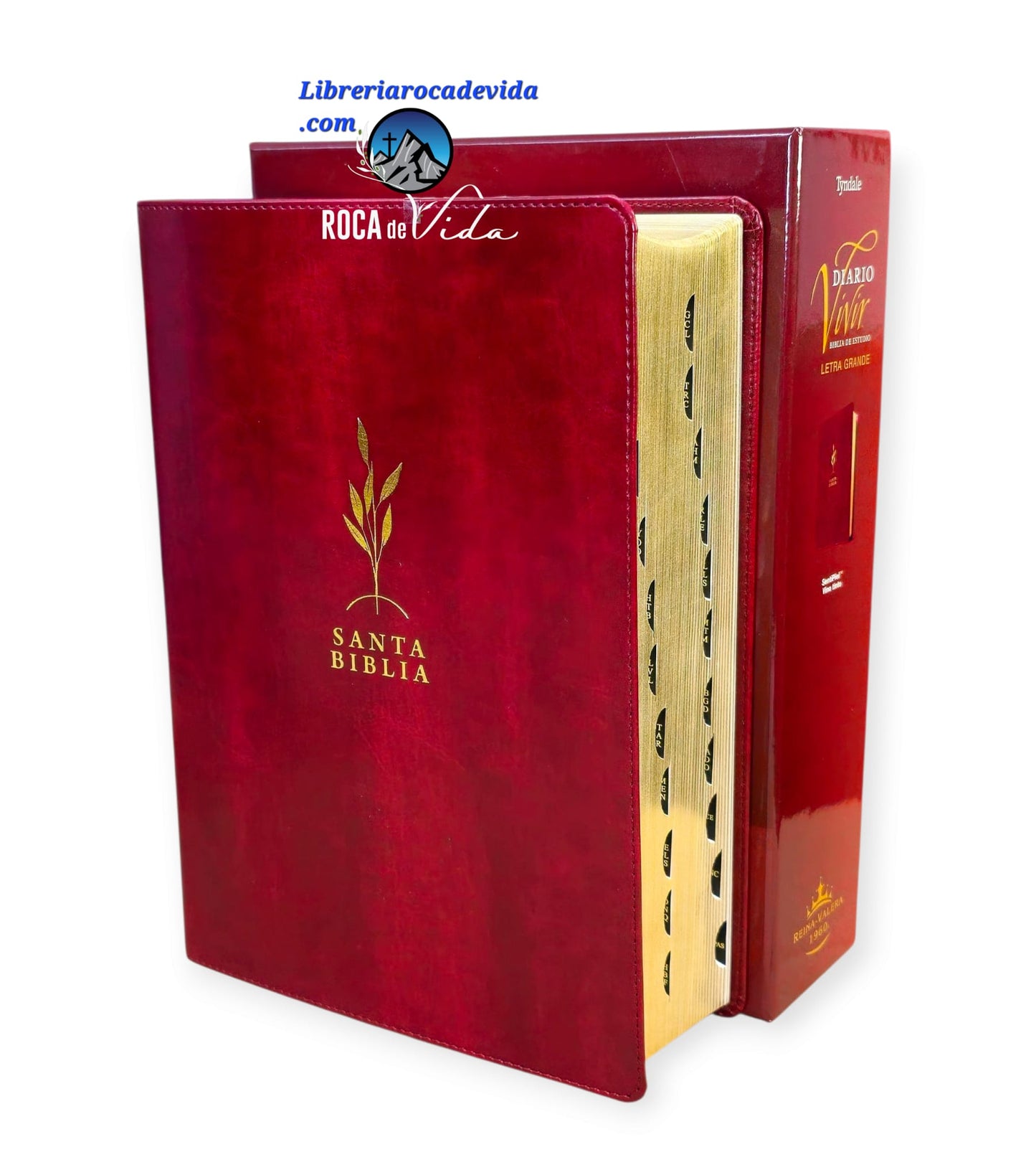 Biblia de estudio del diario vivir RVR.1960 senti piel color vino tinto con indice