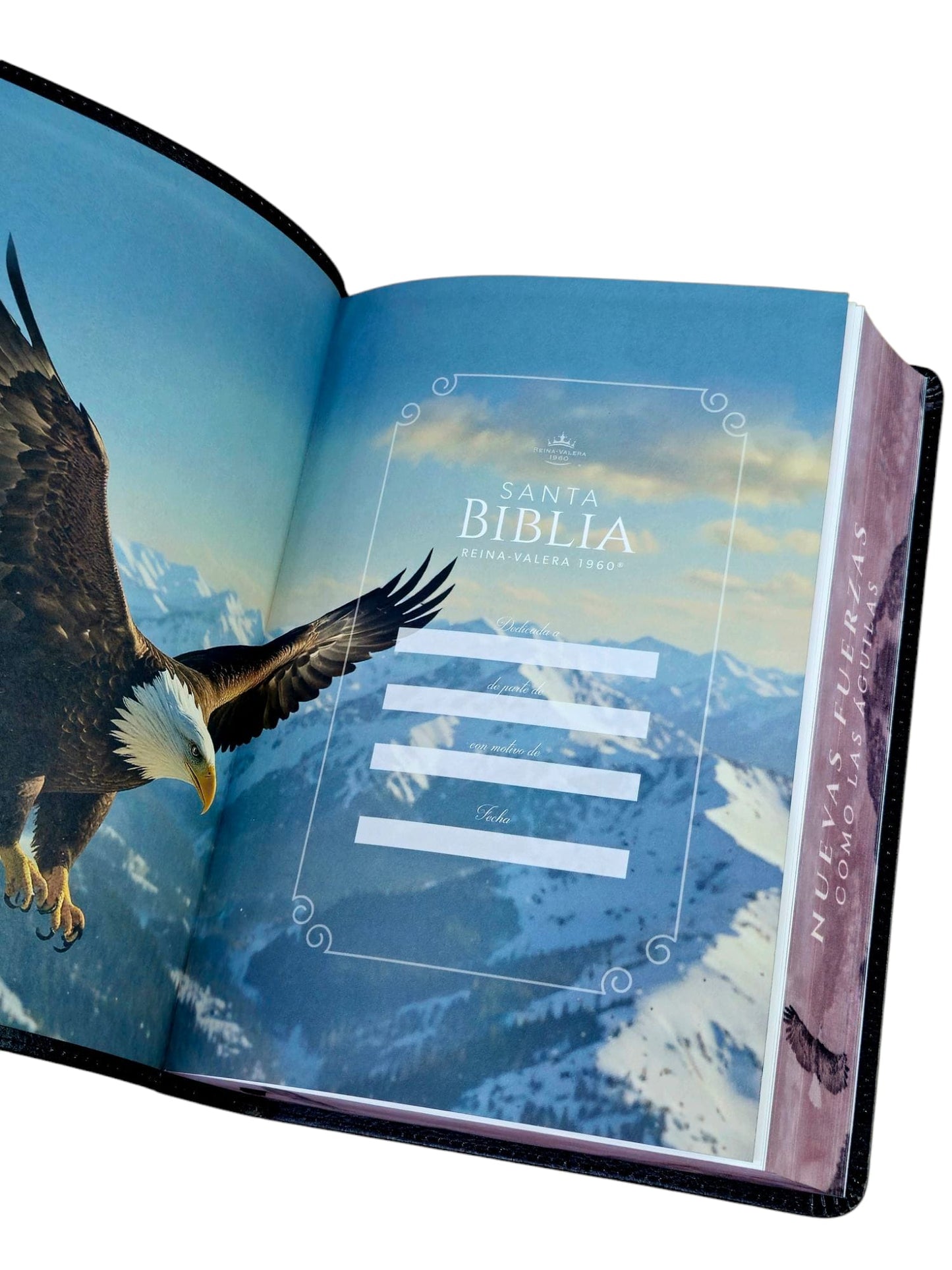 Biblia aguila RVR.1960 letra super gigante 19 punto los que esperan en jehova Imitación Piel negro