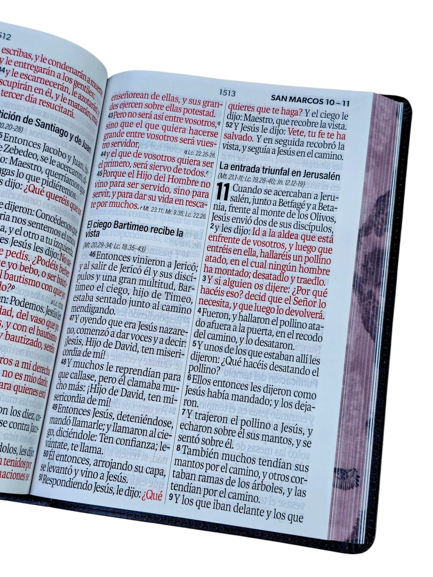 Biblia aguila RVR.1960 letra super gigante 19 punto los que esperan en jehova Imitación Piel negro