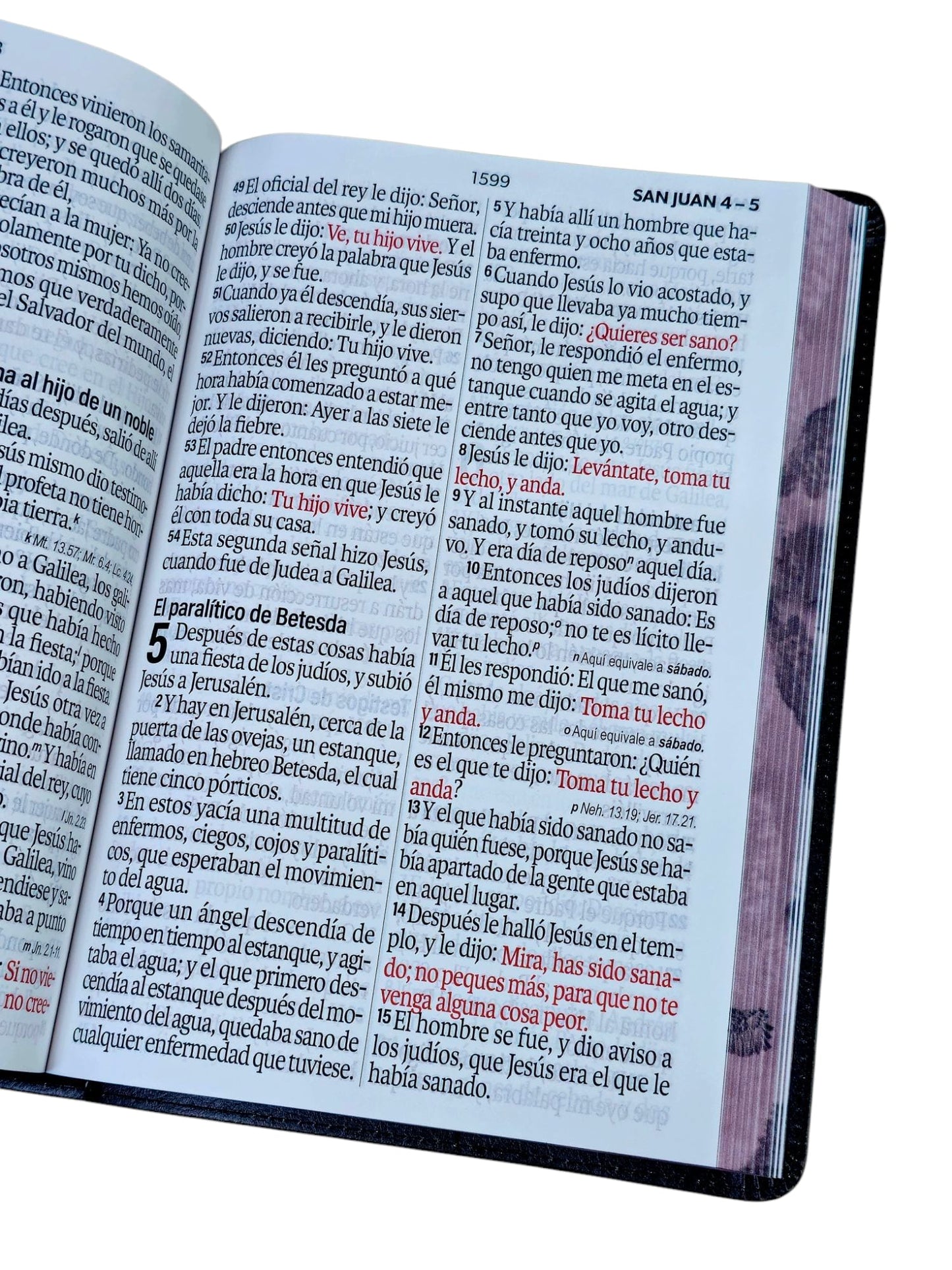 Biblia aguila RVR.1960 letra super gigante 19 punto los que esperan en jehova Imitación Piel negro