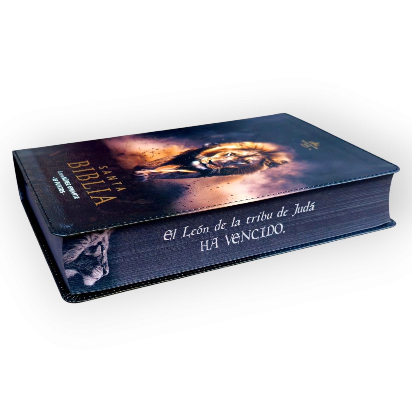 Biblia Letra Súper Gigante 19 punto RV1960 piel negro león Tribu De Juda