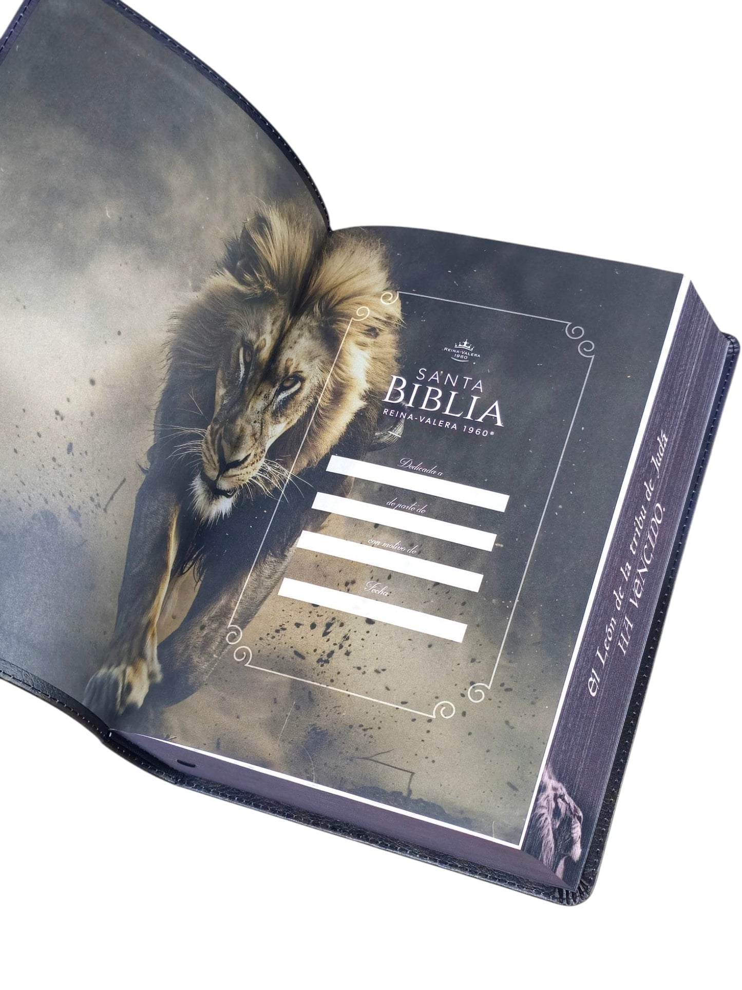 Biblia Letra Súper Gigante 19 punto RV1960 piel negro león Tribu De Juda