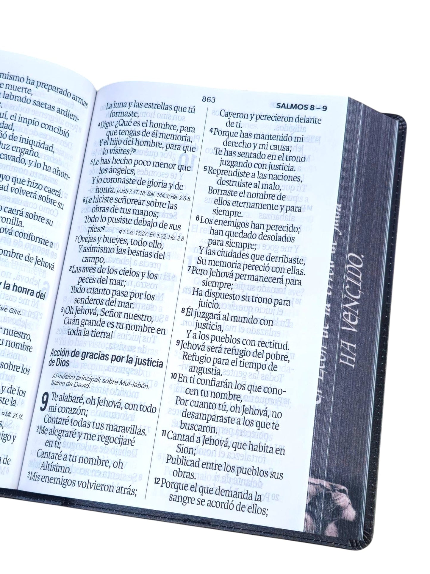 Biblia Letra Súper Gigante 19 punto RV1960 piel negro león Tribu De Juda