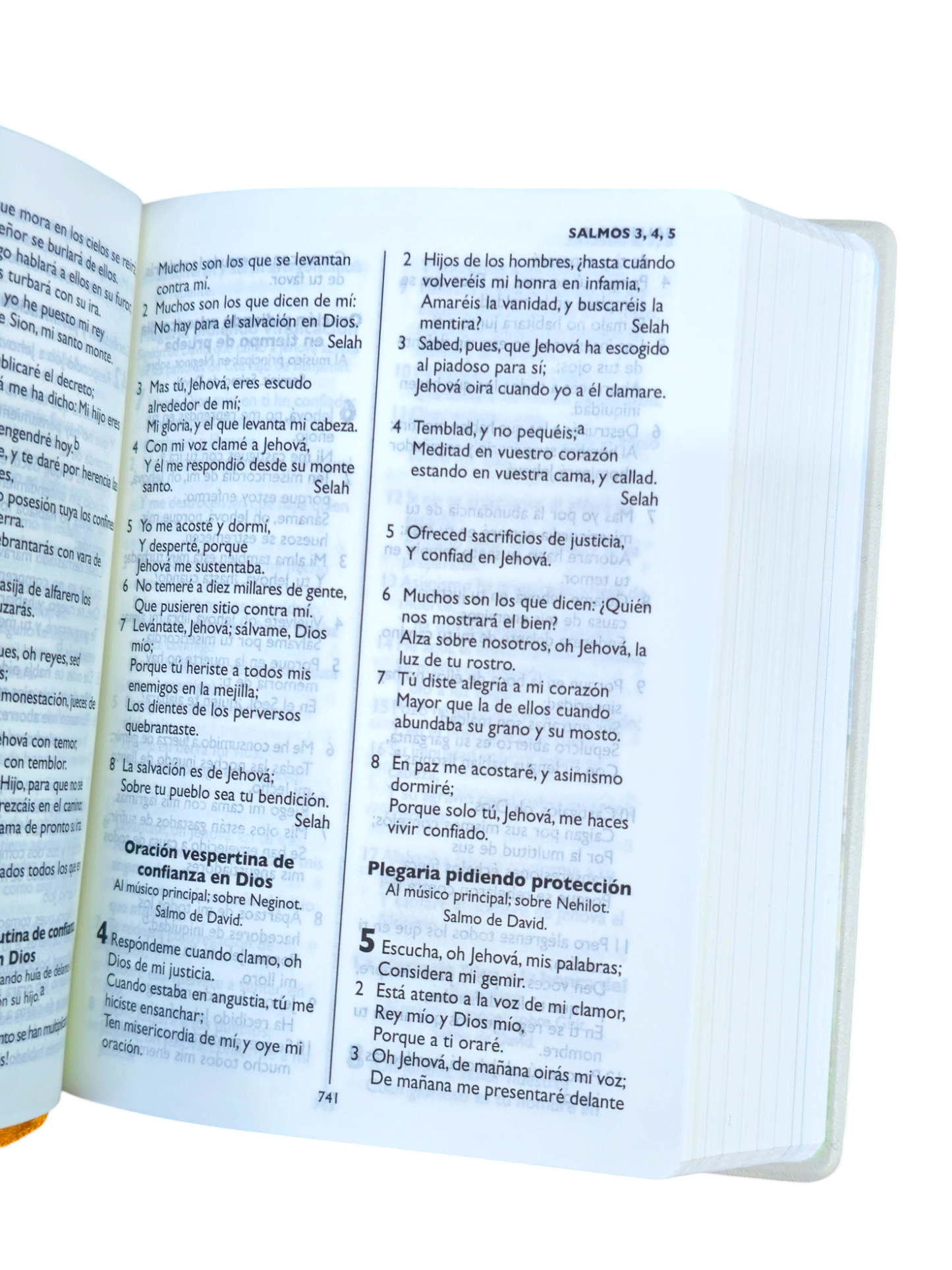 Biblia para niños RVR.1960 precioso momento pequeña vinil