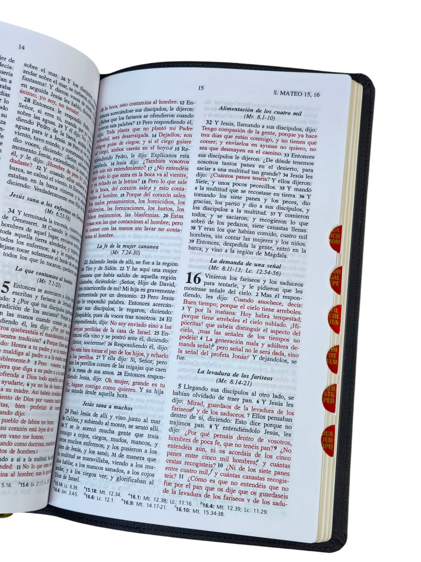 Biblia del ministro actualizado RVR.1960 piel negra con indice