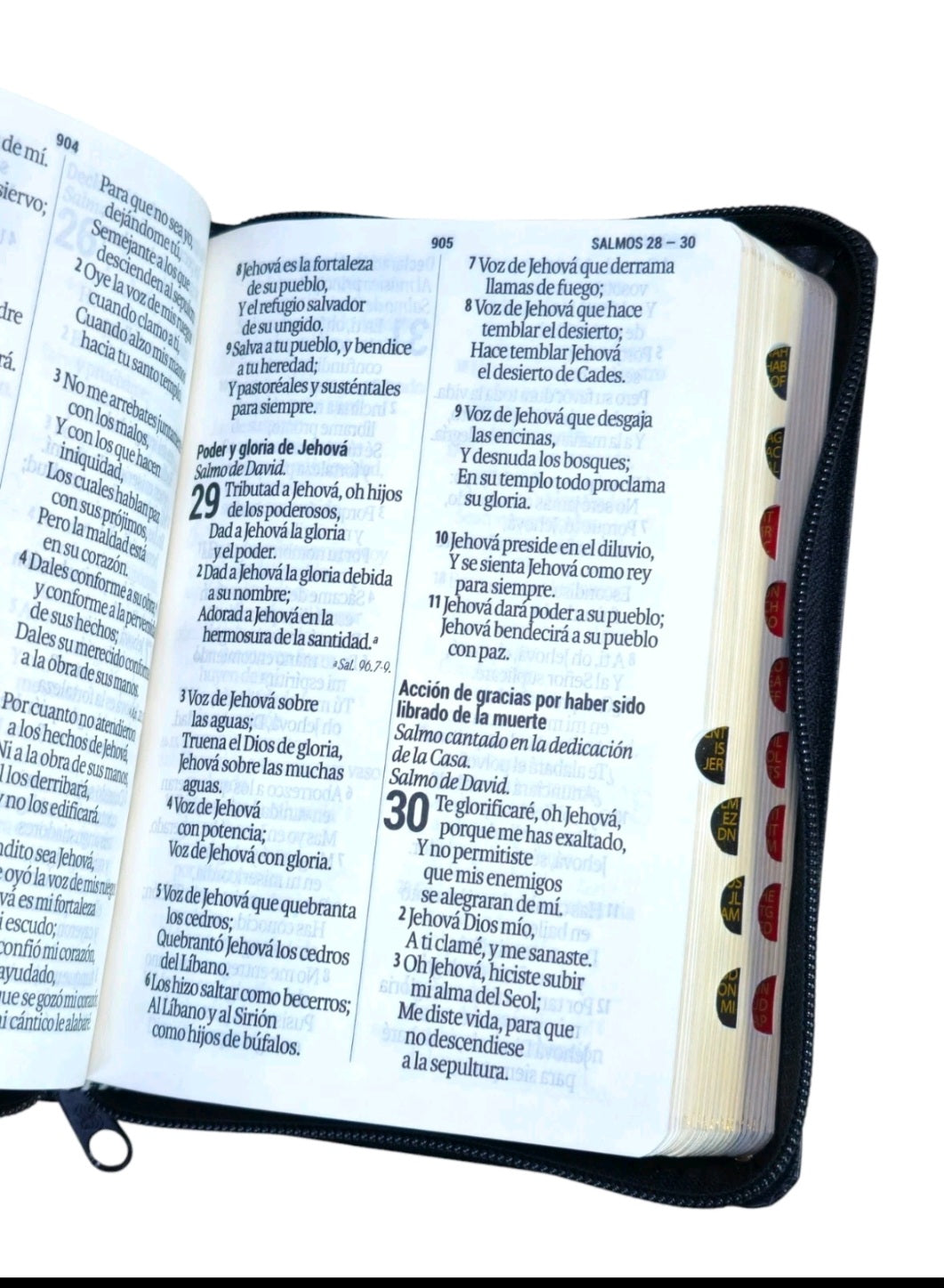 Biblia Con Cierre letra 11 Puntos Compacta RVR,1960 Negro Con Indice Imit.piel
