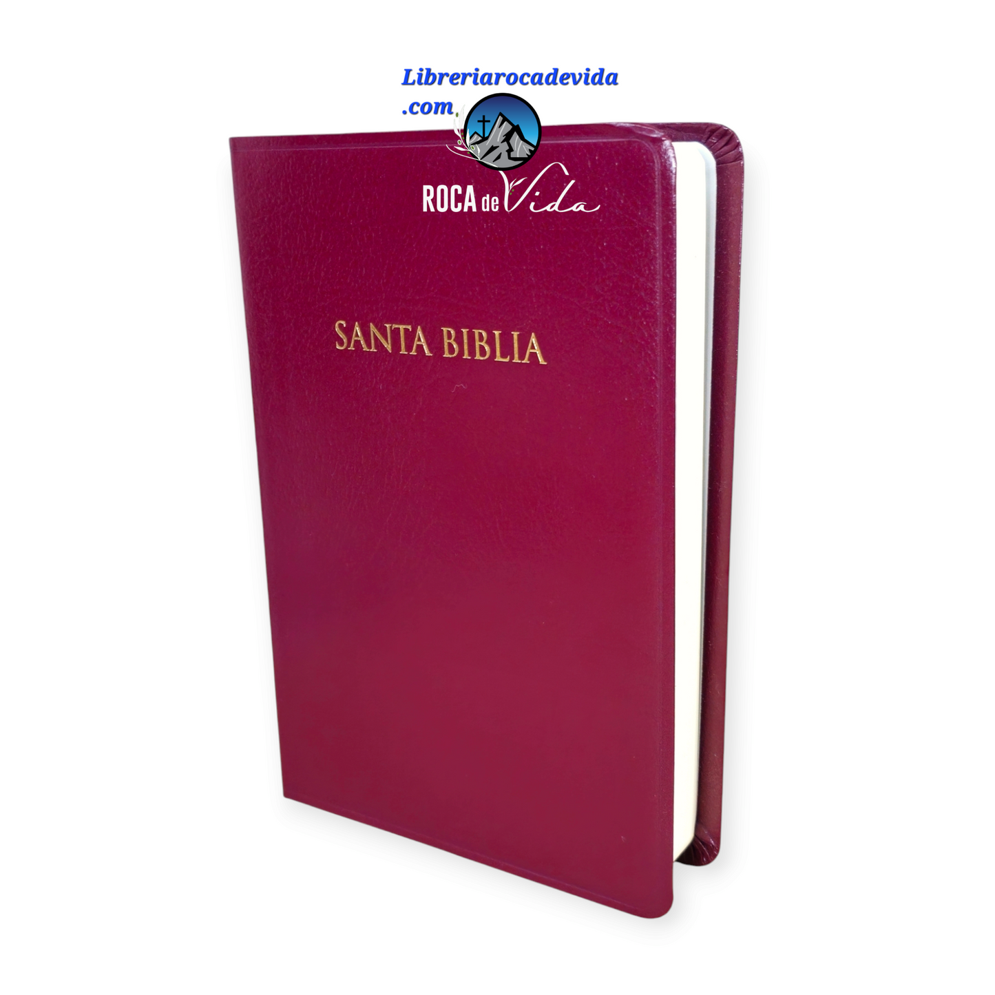 BIBLIA REINA VALERA 1960 PARA PREMIOS Y REGALOS, IMI. PIEL VINO