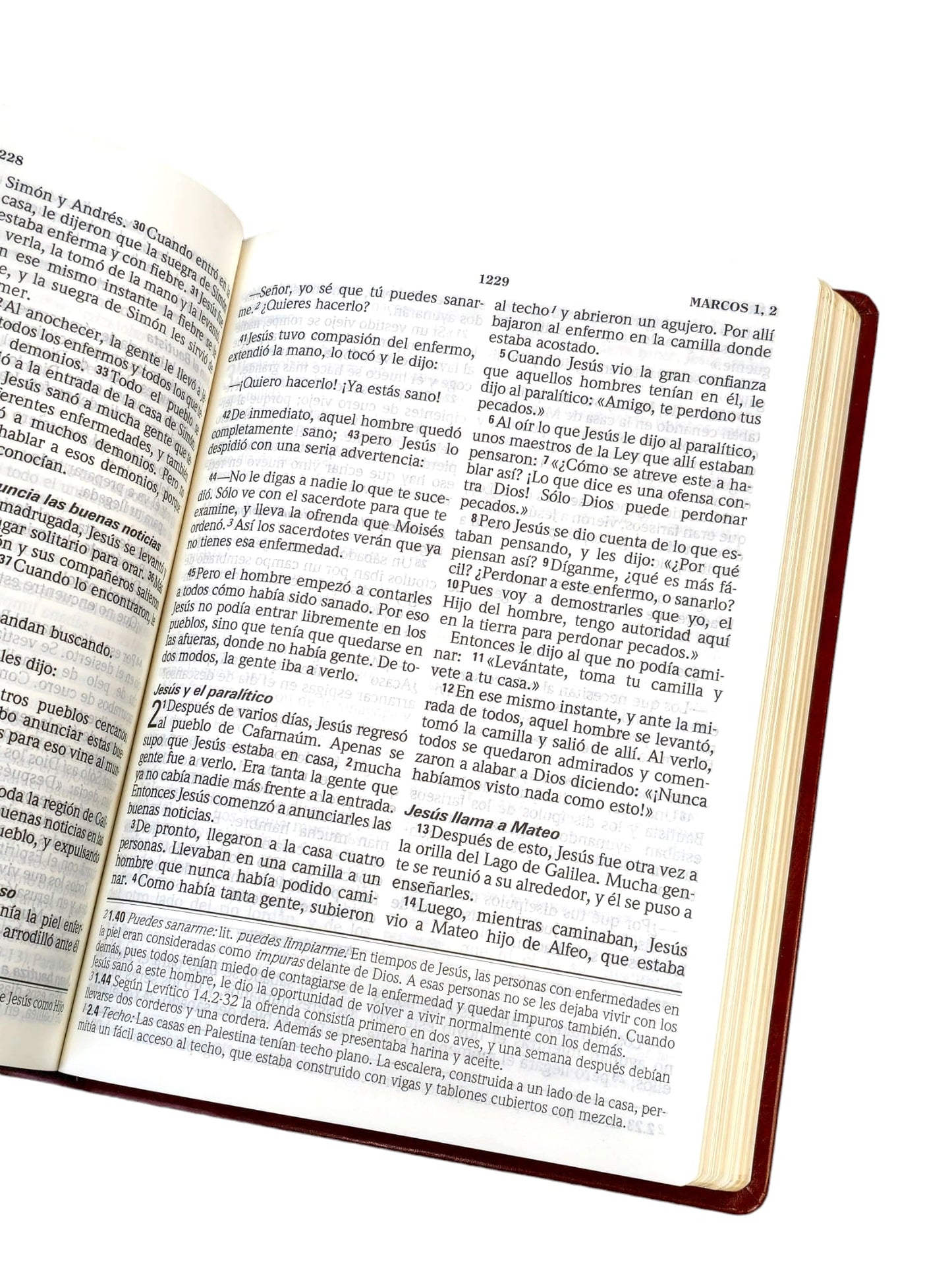 biblia traduccion lenguaje actual TLA Letra Gigante  Piel Imitation Café