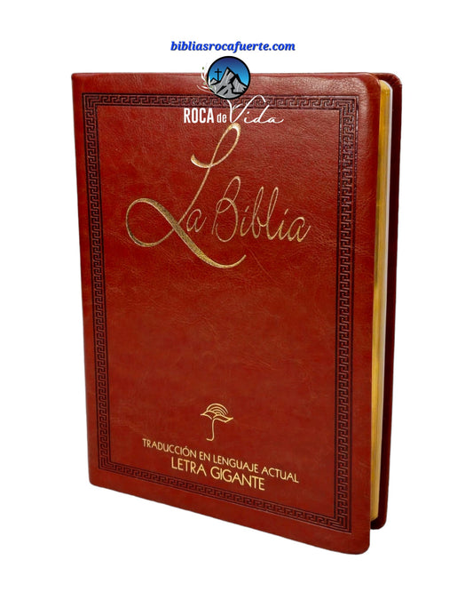 biblia traduccion lenguaje actual TLA Letra Gigante  Piel Imitation Café