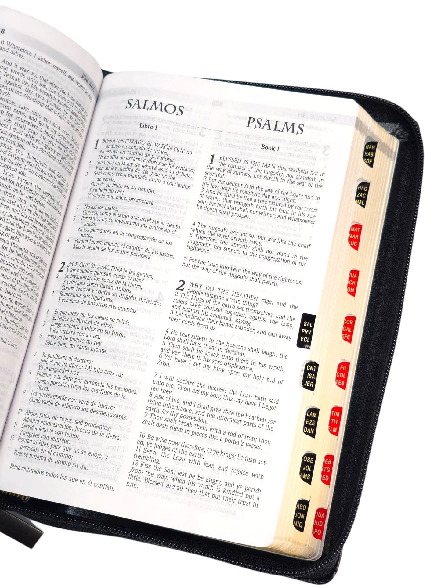 Biblia bilingue tamaño manual RVR.1960/ KJV simil piel negro Con indice cierre