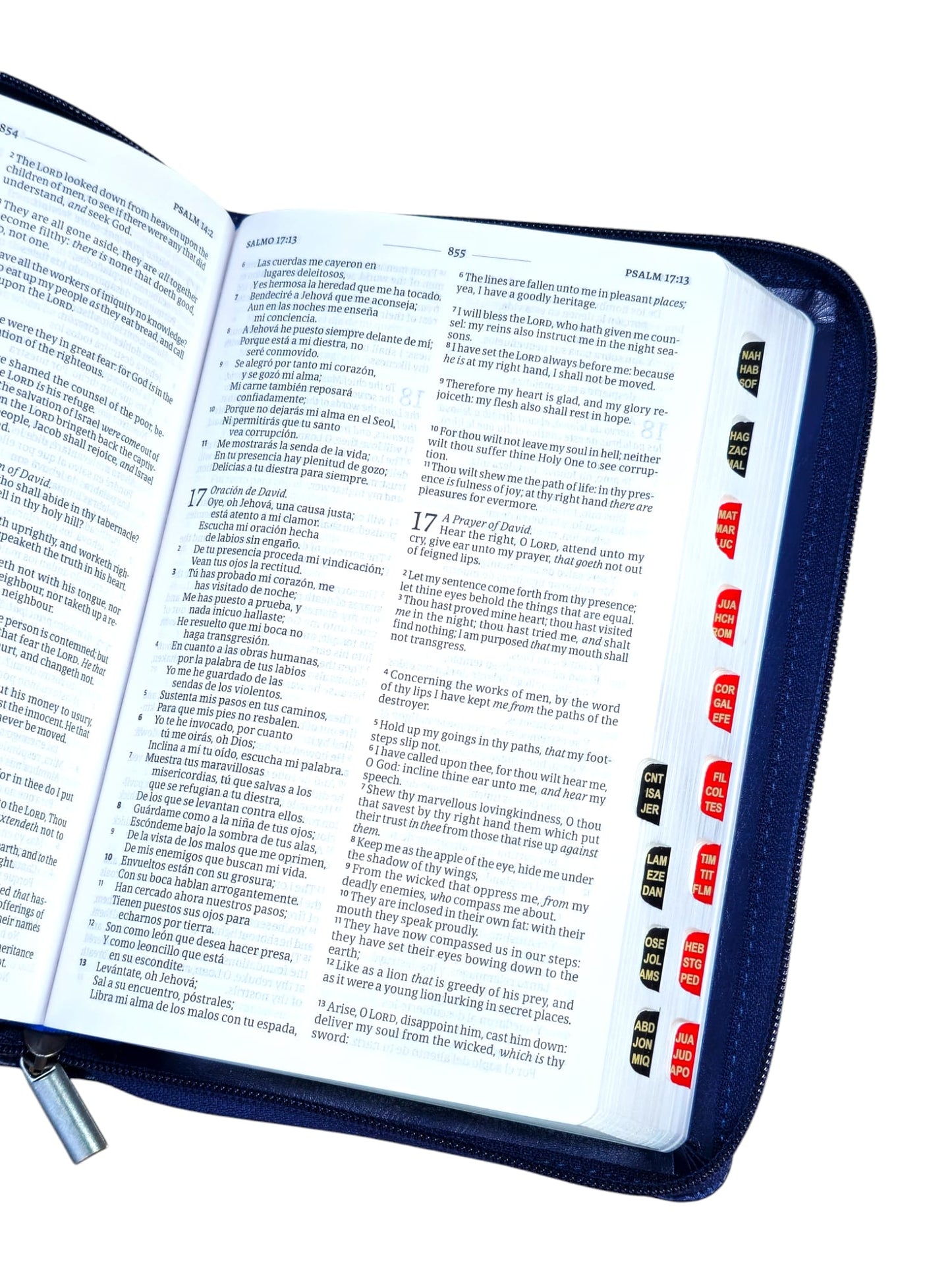 Biblia Bilingue Tamaño Manual RVR.1960/king James Símil Piel Azul Marino Índice