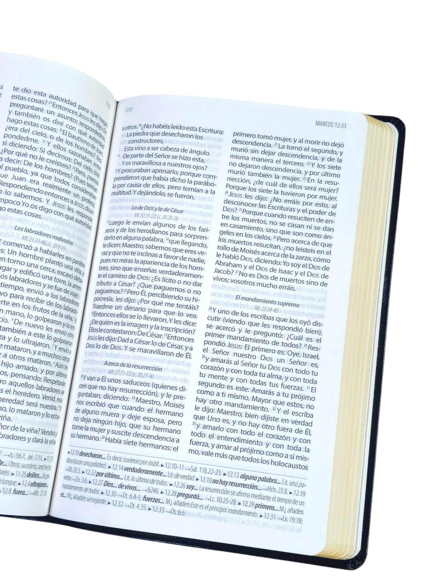 Biblia Textual ( Edición IV ) De REGRESO A la Fuente Semipiel Negro