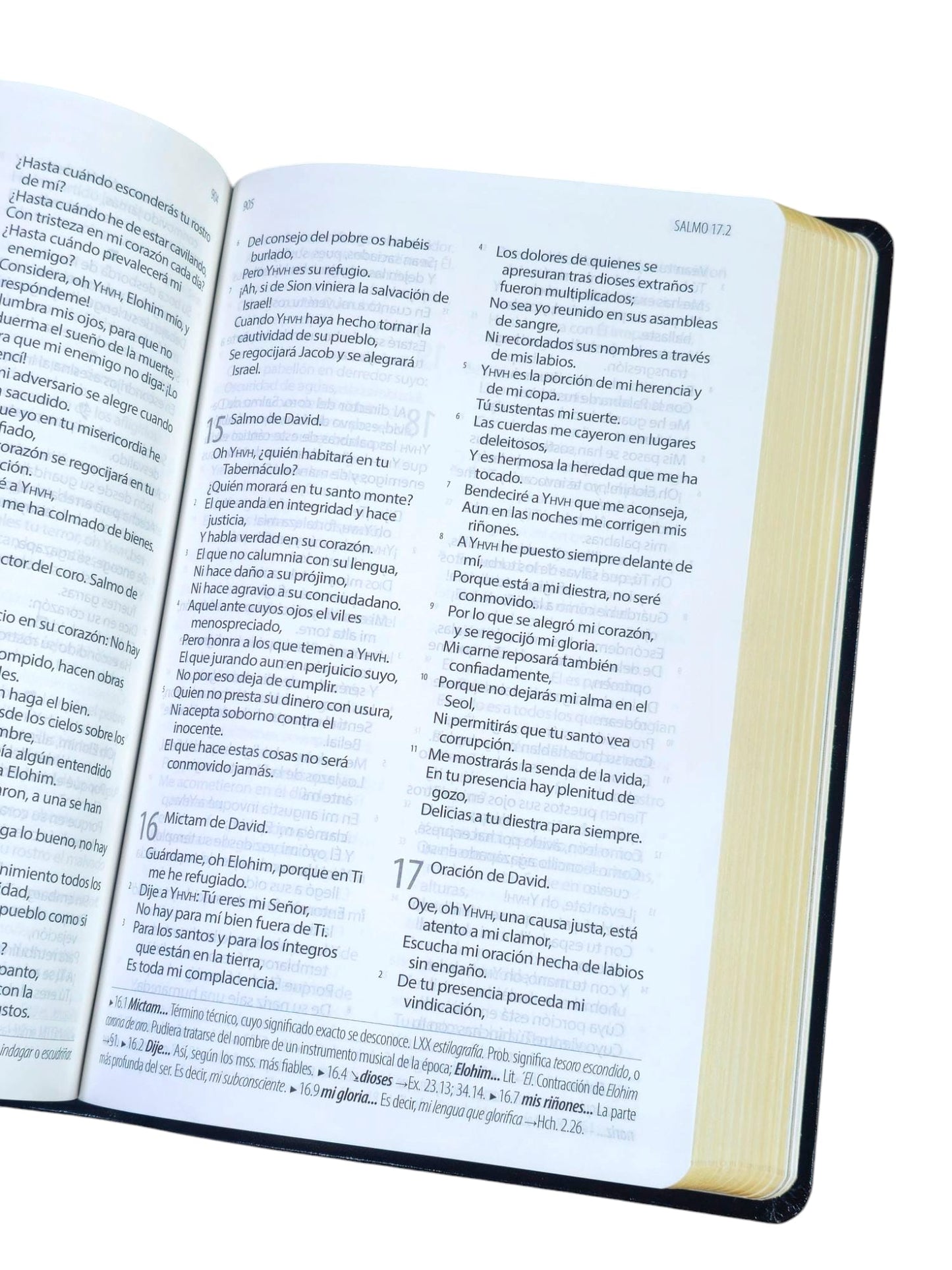 Biblia Textual ( Edición IV ) De REGRESO A la Fuente Semipiel Negro