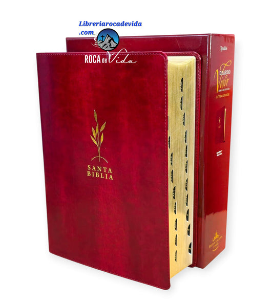 Biblia de estudio del diario vivir RVR.1960 senti piel color vino tinto con indice