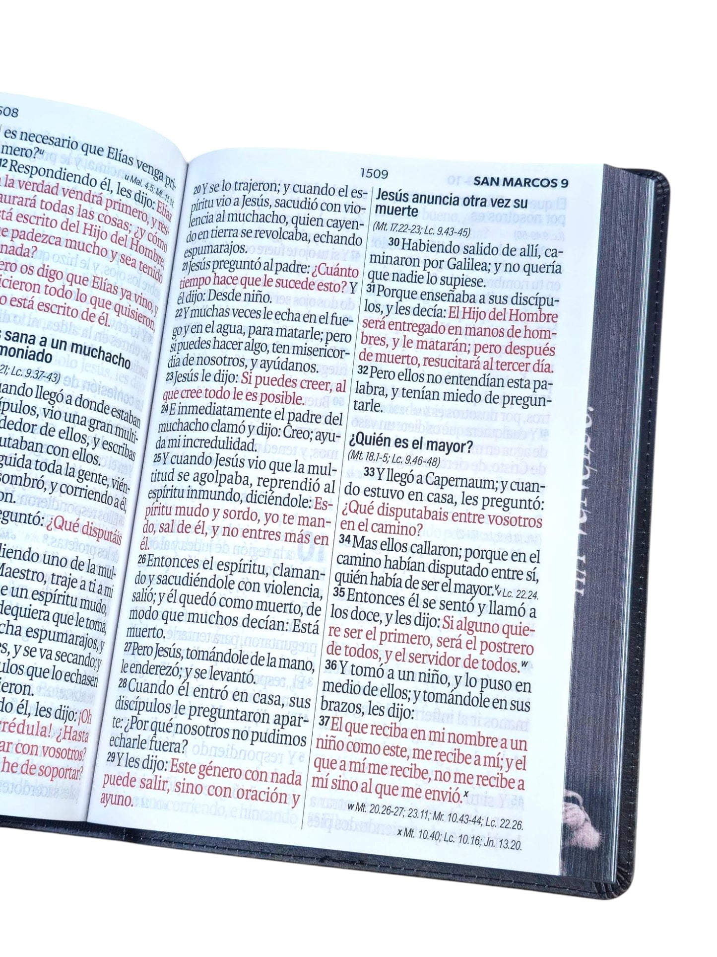 Biblia Letra Súper Gigante 19 punto RV1960 piel negro león Tribu De Juda
