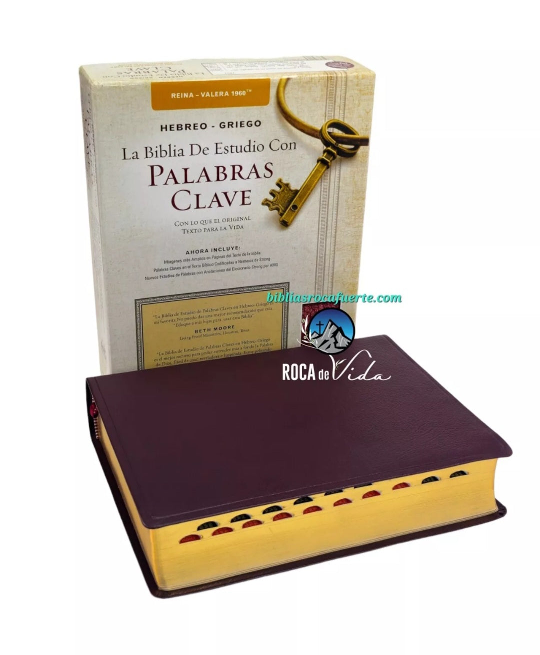 Biblia De Estudio Palabras Clave Reina-Valera 1960 Borgoña Indice Piel Fabricada