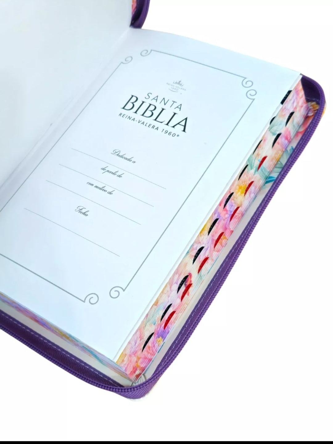 Biblia con Cierre Letra Grande 12 puntos para Mujer RV1960 imit piel lila Indice