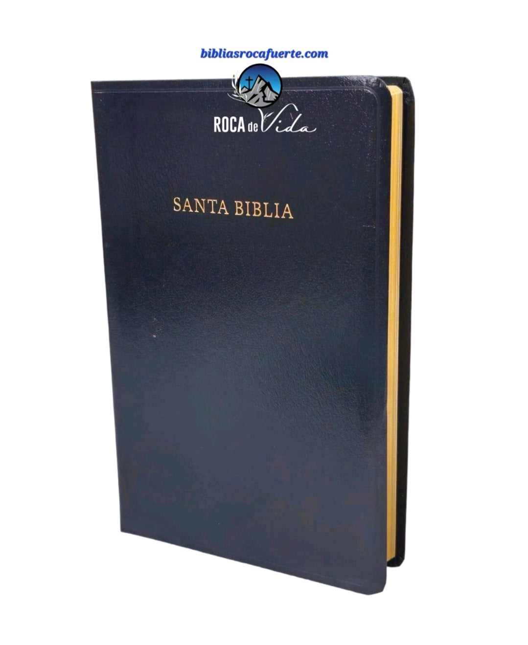 BIBLIA ANTIGUA VERSION REINA VALERA 1909 RVA CLASICA IMITACION PIEL NEGRO